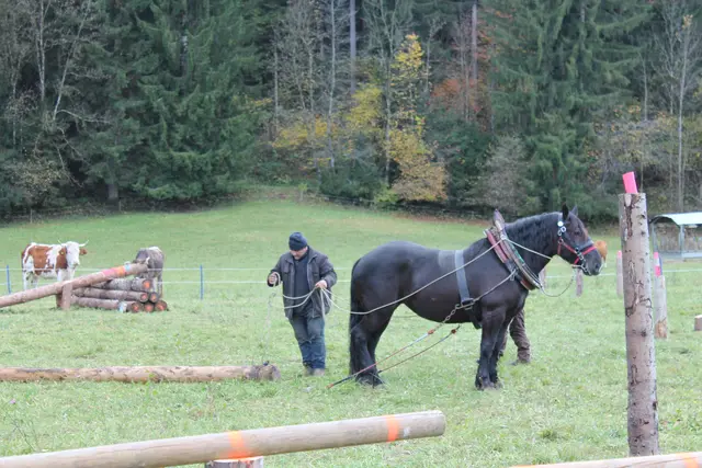 Foto: MeinBezirk/Carmen Rienzner
