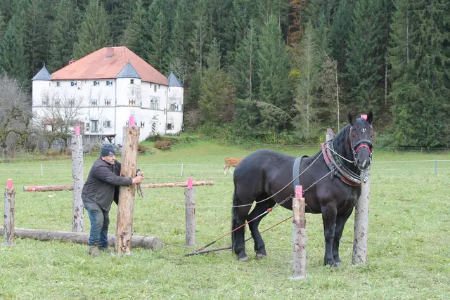 Foto: MeinBezirk/Carmen Rienzner