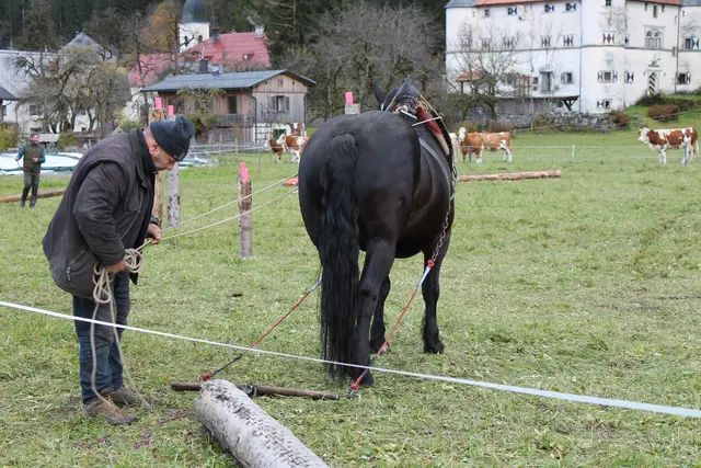 Foto: MeinBezirk/Carmen Rienzner