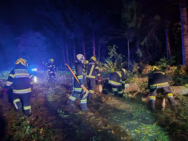 Auf der L73 Mitterteich Straße stürzte ein Baum auf Fahrbahn.
 | Foto: Freiwillige Feuerwehr Moosburg in Ktn.