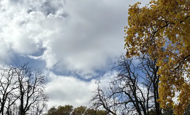 Meteorologe: "Der kühle Einschub von gestern und heute ist ab nächster Woche vorbei." | Foto: MeinBezirk/Lea Kainz