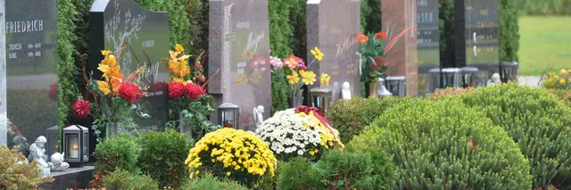 Foto: Stadtgemeinde Tulln