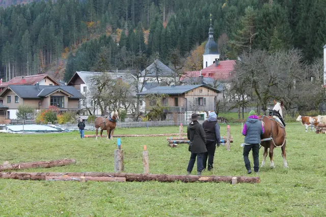 Foto: MeinBezirk/Carmen Rienzner