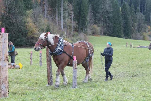 Foto: MeinBezirk/Carmen Rienzner