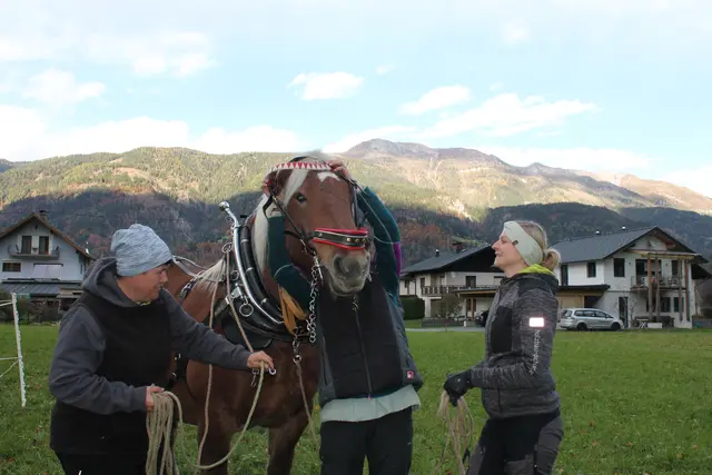 Foto: MeinBezirk/Carmen Rienzner