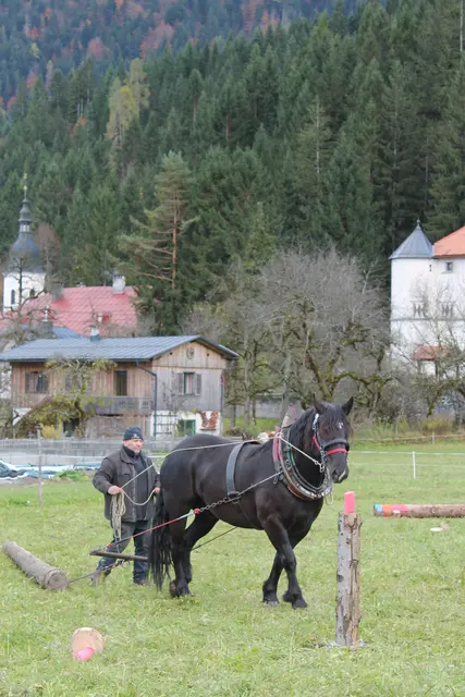 Foto: MeinBezirk/Carmen Rienzner