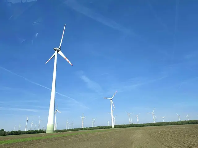 Die Niederösterreichische Landesregierung hat die Erweiterung des Windparks Großinzersdorf in der Gemeinde Zistersdorf einstimmig beschlossen. | Foto: Sadiki-Peckary