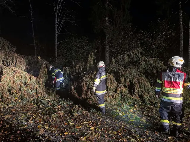 Foto: Freiwillige Feuerwehr Gattersdorf