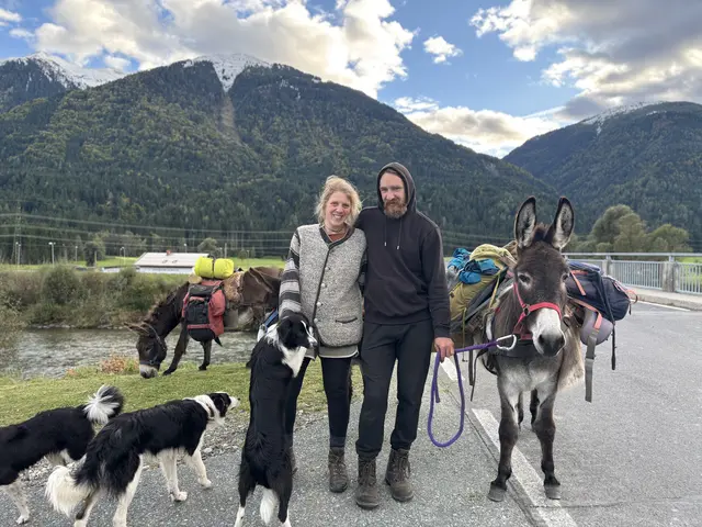 Bine und Mike auf dem Weg von der Alm ins Tal- ihre Habseligkeiten wurden von den Eseln getragen. | Foto: MeinBezirk/Carmen Rienzner