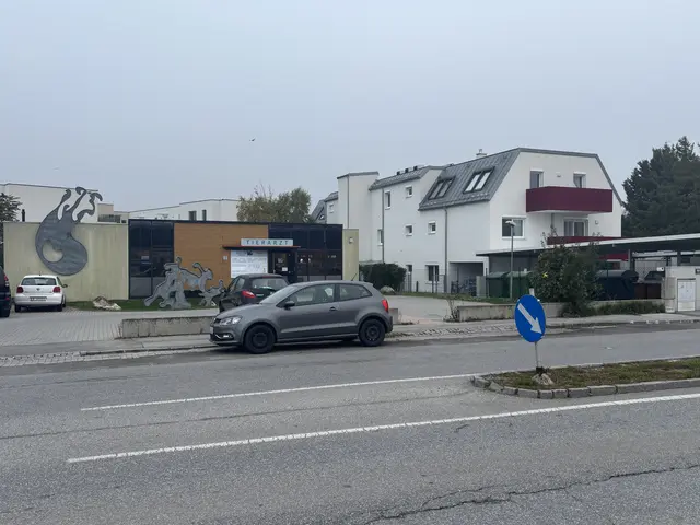 Auf Höhe der Tierklinik ist ein Kreisverkehr angedacht. Es gibt diesbezüglich Anrainerbedenken.  | Foto: Wolfgang Ilkerl
