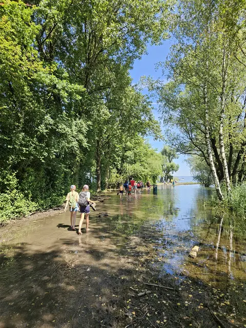 Foto: Pfadfinder:innen Hötting