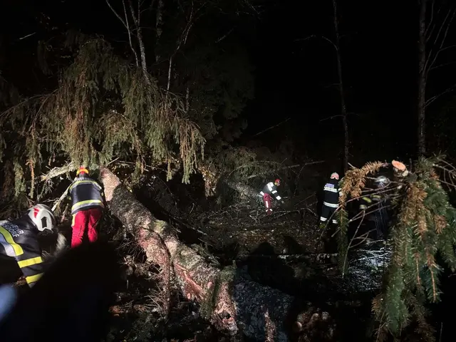 Foto: Freiwillige Feuerwehr Gattersdorf
