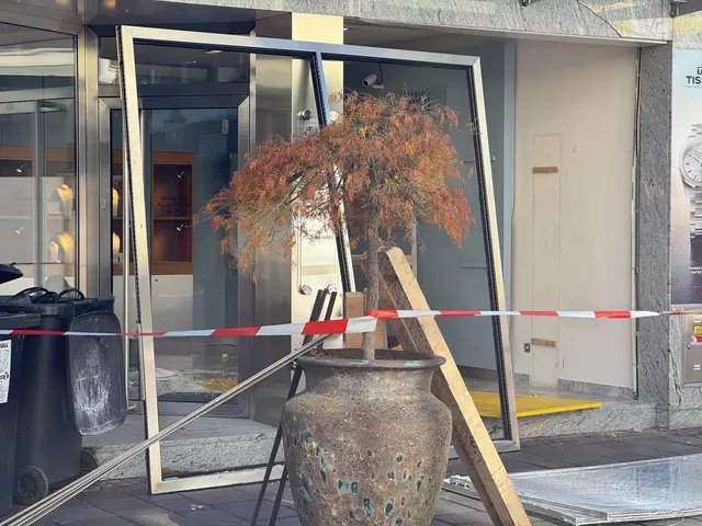 Die Täter haben ein Auto als Rammbock verwendet. | Foto: DOKU-NÖ
