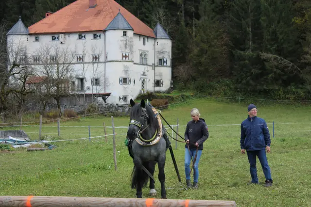 Foto: MeinBezirk/Carmen Rienzner