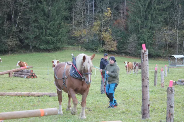 Foto: MeinBezirk/Carmen Rienzner
