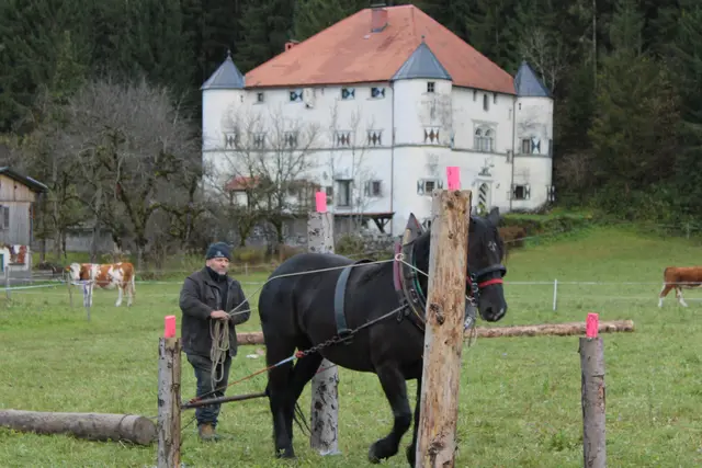 Foto: MeinBezirk/Carmen Rienzner