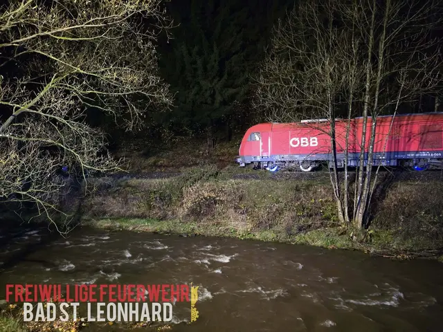 Ein Baum blockierte die Zugverbindung zwischen Bad St. Leonhard und Wolfsberg und hinderte eine Lok an der Weiterfahrt. | Foto: Feuerwehr Bad St. Leonhard