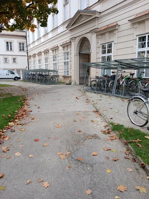 Die Geh- und Radwege im Kurgarten werden saniert | Foto: Stadt Salzburg