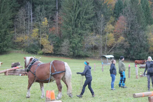 Foto: MeinBezirk/Carmen Rienzner
