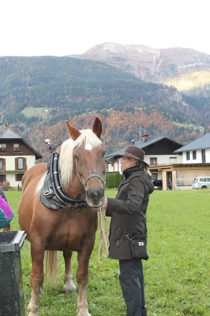 Foto: MeinBezirk/Carmen Rienzner