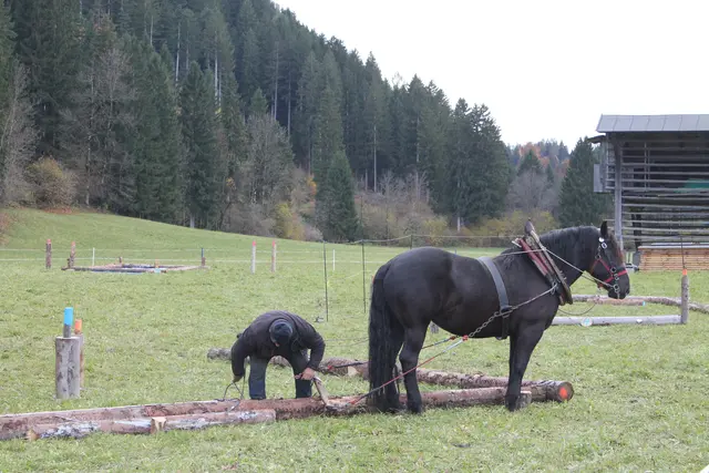Foto: MeinBezirk/Carmen Rienzner
