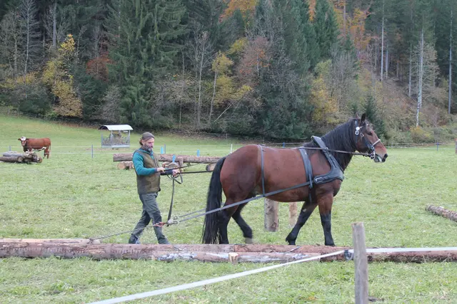 Foto: MeinBezirk/Carmen Rienzner