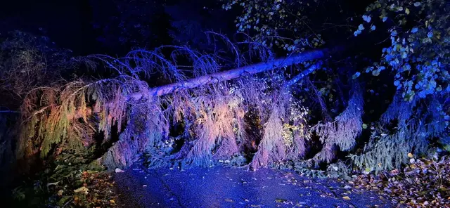 Aufgrund des Sturmes mussten zahlreiche umgestürzte Bäume von der Straße entfernt werden. | Foto: Freiwillige Feuerwehr Bodensdorf - Tschöran