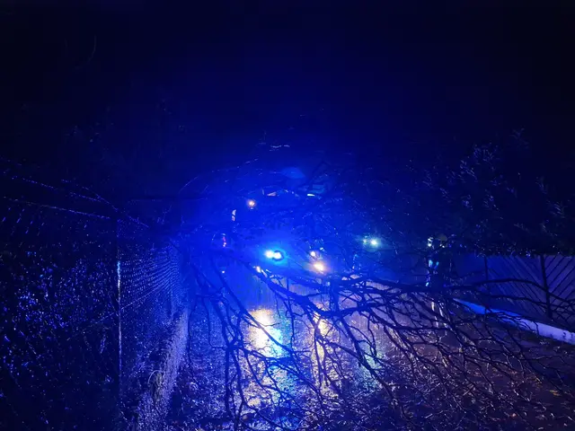 Im Bereich der Tangernerstraße im Ortsgebiet von Millstatt stürzte ebenfalls ein Baum auf die Fahrbahn. | Foto: Freiwillige Feuerwehr Millstatt