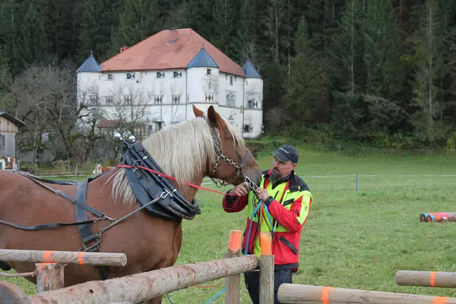 Foto: MeinBezirk/Carmen Rienzner