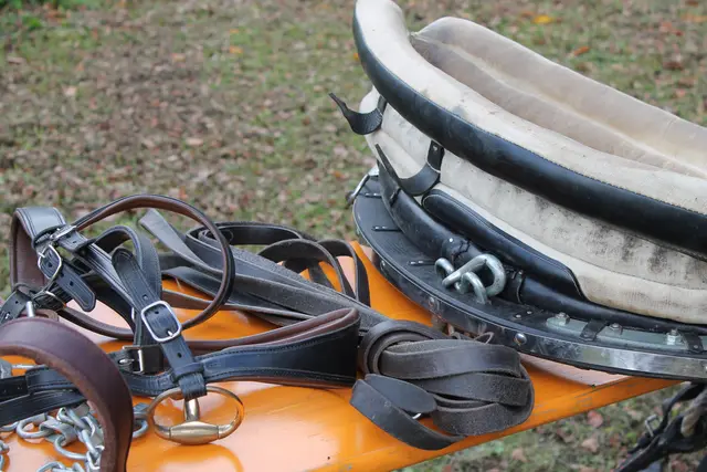 Foto: MeinBezirk/Carmen Rienzner