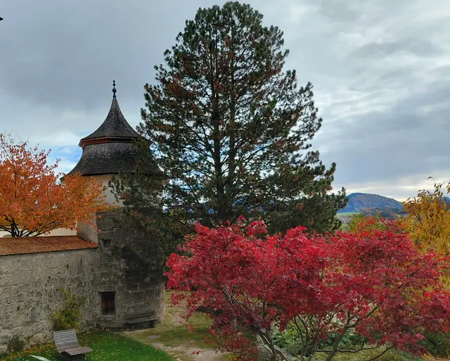 Eim Schloss Seeburg  | Foto: H.Bachinger
