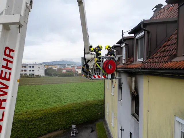 Foto: TEAM FOTOKERSCHI / MARTIN SCHARINGER