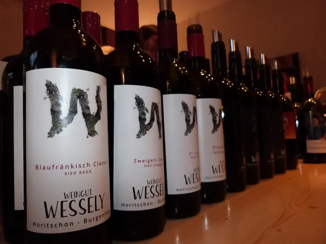 Foto: Vanessa Wittmann