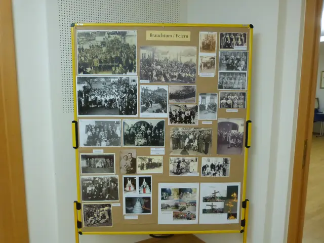 Foto: Vanessa Wittmann