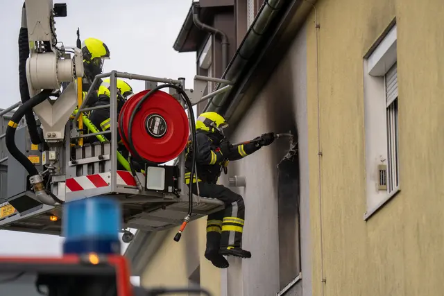 Foto: TEAM FOTOKERSCHI / MARTIN SCHARINGER