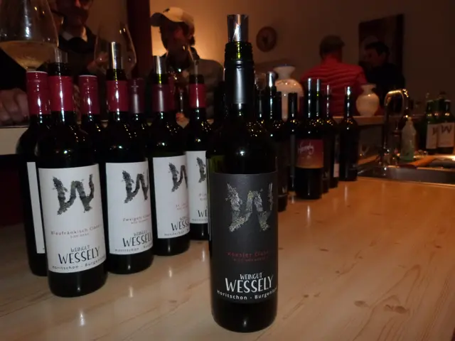 Foto: Vanessa Wittmann