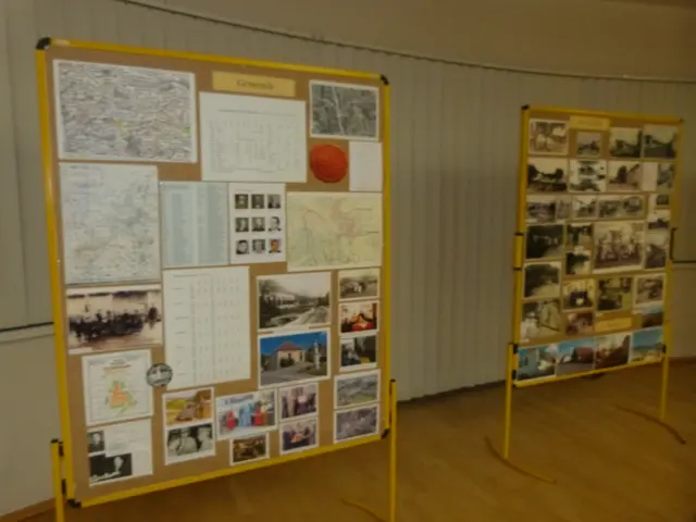 Foto: Vanessa Wittmann