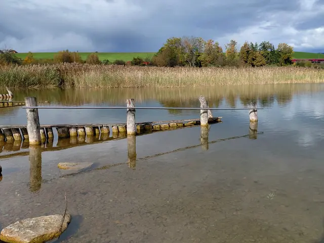 Strandbad Seekirchen  | Foto: H.Bachinger
