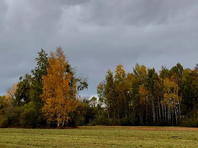 An der Bahntrasse entlang nach Zell. | Foto: H.Bachinger