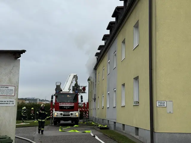 Foto: TEAM FOTOKERSCHI / MARTIN SCHARINGER