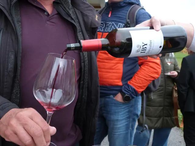 Foto: Vanessa Wittmann