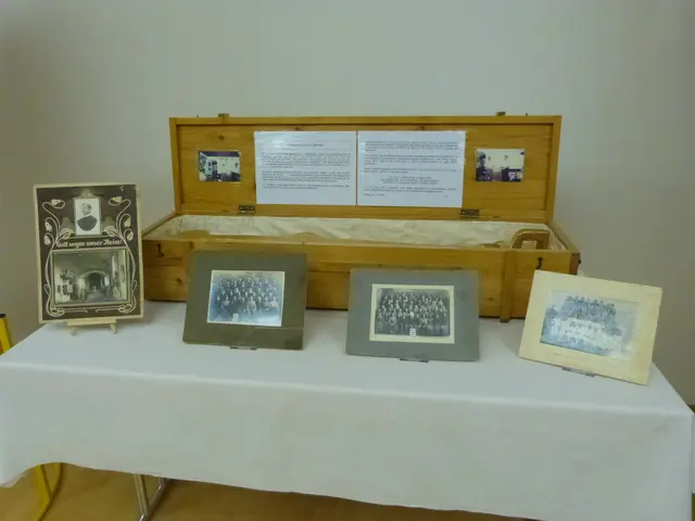 Foto: Vanessa Wittmann