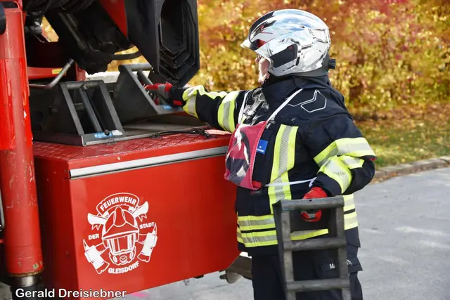 Foto: Gerald Dreisieber