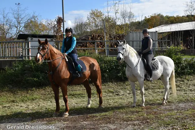 Foto: Gerald Dreisieber