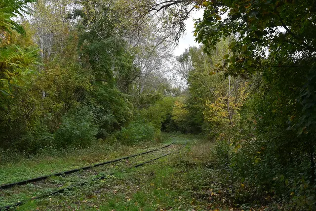 Zug fährt da wohl selten