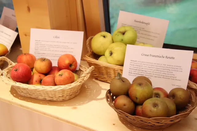 Foto: Martin Wurglits