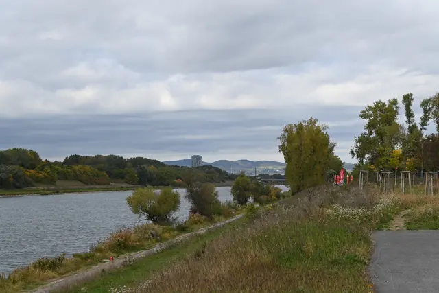 Ein Blick auf die Neue Donau, bevor ich in die Lobau gehe