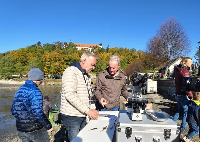 Foto: Christian Nowotny