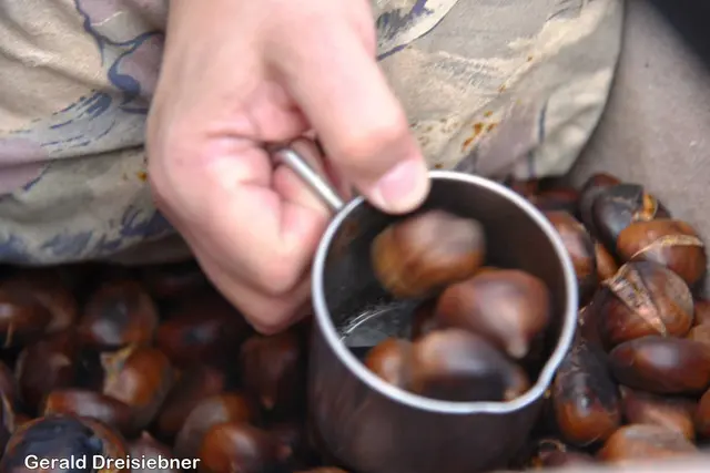 Foto: Gerald Dreisieber