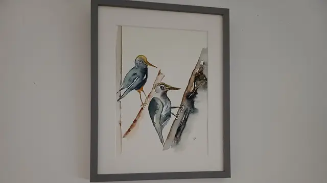 Foto: Monika Hammerl